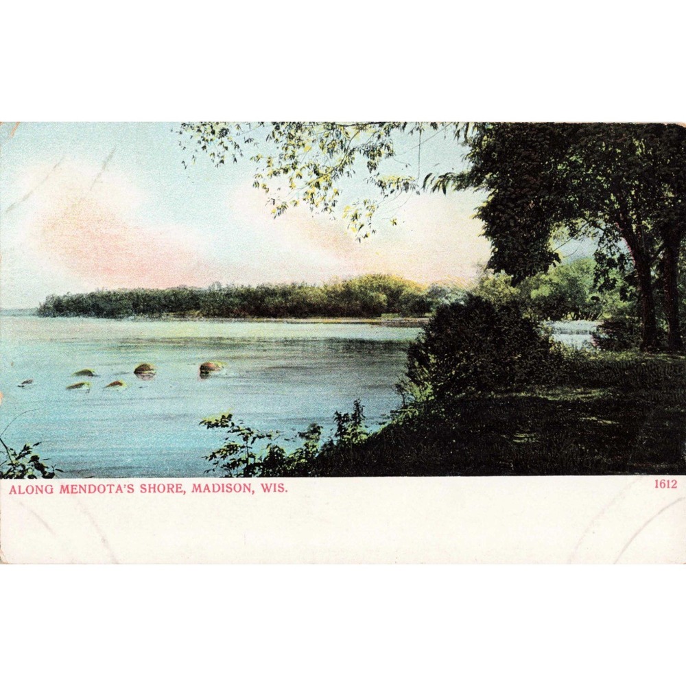 Vintage Lake Mendota Shore Madison WI Postcard Divided Back Bosselman 1612 - Picture 1 of 2